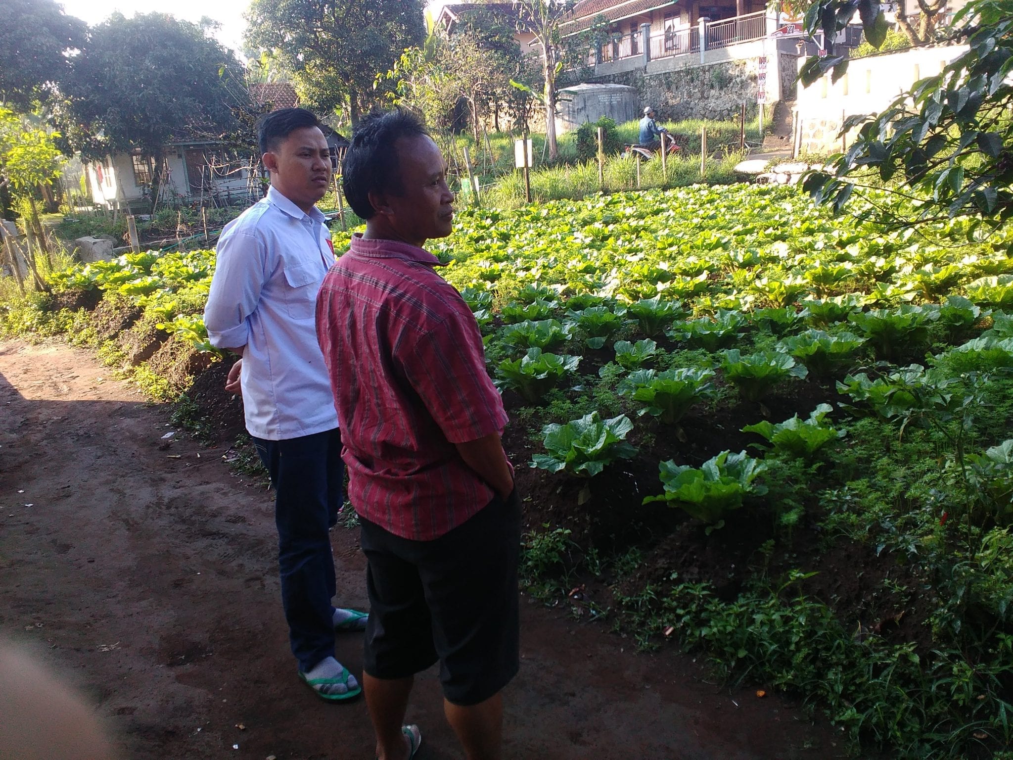 Sekjen Posraya Indonesia: Sejatinya Para Petani di Indonesia Butuh Pendampingan Kaum Intelektual