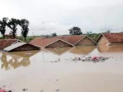 Banjir di Banjarsai dan Cibadak Lebak Mulai Surut