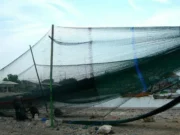 Nelayan Lebak Dukung Tidak Gunakan Cantrang untuk Tangkap Ikan