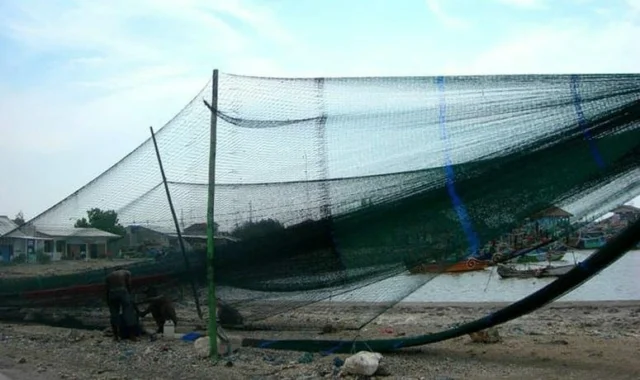 Nelayan Lebak Dukung Tidak Gunakan Cantrang untuk Tangkap Ikan