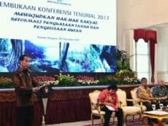 Presiden Jokowi Ingin Perhutanan Sosial Hadirkan Keadilan Ekonomi Rakyat