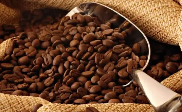 Pemkab Lebak Minta Petani Kembangkan Tanaman Kopi Robusta Pemkab Lebak Minta Petani Kembangkan Tanaman Kopi Robusta