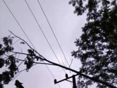 Akibat Cuaca Ekstrim, Tower PLN Roboh Berimbas Pemadaman Listrik di Banten Akibat Cuaca Ekstrim, Tower PLN Roboh Berimbas Pemadaman Listrik di Banten