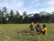 Lahan Sawah Jadi Area Bermain Layang-layang di Musim Panas