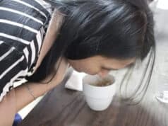 Specialty Coffee untuk Bisnis Coffee Shop Masa Kini Specialty Coffee untuk Bisnis Coffee Shop Masa Kini