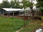 Soal Bangunan tanpa IMB di Neglasari, Satpol PP Akan Rapat dengan OPD Terkait