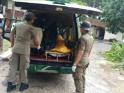 35 Personil Satpol PP Kota Tangerang Terus lakukan Pencarian Korban di Tanjung Lesung