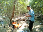 Mayat Perempuan Tanpa Identitas Ditemukan di Hutan Mangrove