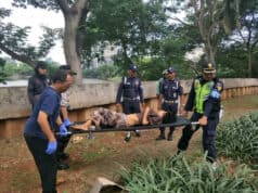 Wanita Tanpa Identitas Ditemukan Tewas Disamping Mall Metropolis
