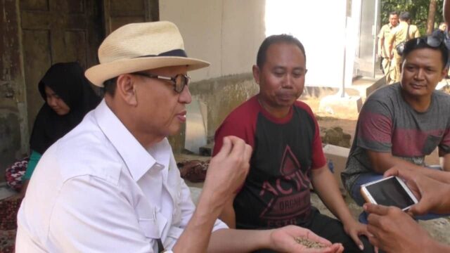 Manggis Banten Sudah Diekspor Ke China