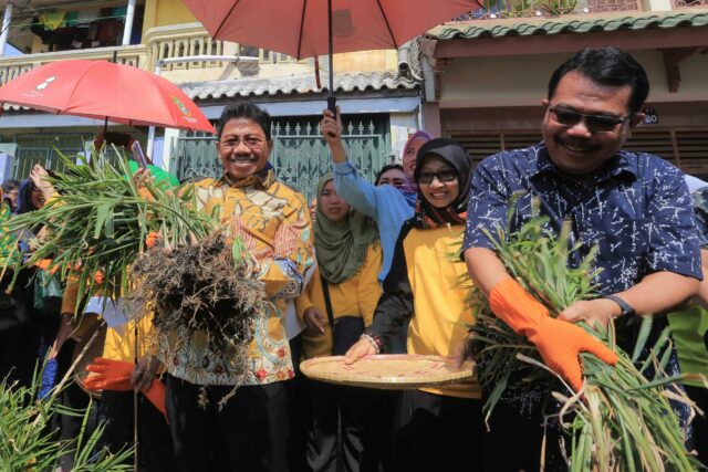 Panen Jahe Hingga Nikmati Olahannya di Kota Tangerang