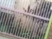 Aksi Pria Onani Depan Kost Putri di Kota Serang