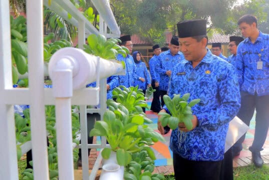 Panen Pak Choi di Puspem Kota Tangerang, Manfaatkan Area Terbuka Panen Pak Choi di Puspem Kota Tangerang, Manfaatkan Area Terbuka