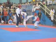 15 Bibit Atlet Taurus Taekwondo Academy Ikuti Kejuaraan di Makzom CUP 2020