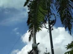 Wujudkan SMART CITY, Kota Tangerang Pasang 40 Titik Wifi Gratis di Taman Kota Wujudkan SMART CITY, Kota Tangerang Pasang 40 Titik Wifi Gratis di Taman Kota