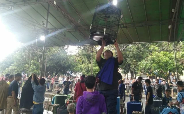 Ribuan Komunitas Ramaikan Festival Burung Berkicau Piala Wali Kota Tangerang
