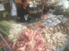 Cegah CORONA, Tanaman Obat Diburu Masyarakat Tangerang Untuk Jamu Cegah CORONA, Tanaman Obat Diburu Masyarakat Tangerang Untuk Jamu