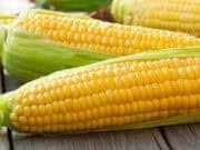 Penggunaan Serat Larut dari Jagung untuk Cokelat Rendah Gula