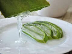 Bahan Alami Untuk Tetap Cantik Dan Sehat Dimasa Pandemi Covid-19 Bahan Alami Untuk Tetap Cantik Dan Sehat Dimasa Pandemi Covid-19