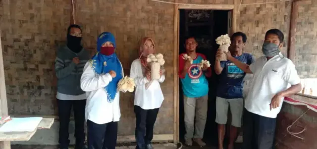Jamur Tiram Tuai Berkah Di Tengah Pandemi Covid-19 Jamur Tiram Tuai Berkah Di Tengah Pandemi Covid-19