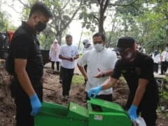 Hari Lingkungan Hidup, Pemkot Tangerang Lakukan Pembibitan Secara Mandiri Hari Lingkungan Hidup, Pemkot Tangerang Lakukan Pembibitan Secara Mandiri