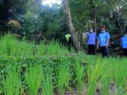 Hutan Kota Miliki Sarana Baru, Arief: Bisa Jadi Sarana Edukasi
