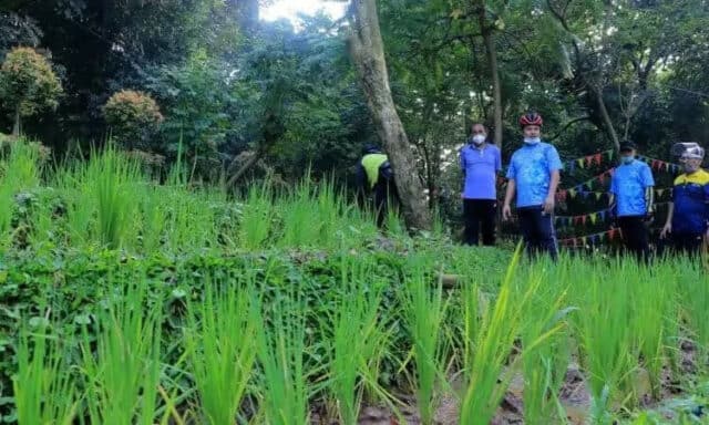Hutan Kota Miliki Sarana Baru, Arief: Bisa Jadi Sarana Edukasi