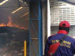 PT Argo Pantes Terbakar, BPBD Kota Tangerang Terjunkan Ratusan Personel