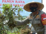Ketahanan Pangan, Kapolres Panen Sayur Mayur di Banksasuci Kota Tangerang