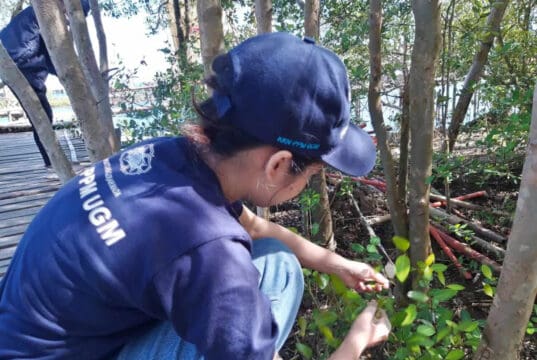Mahasiswa KKN PPM UGM Mengembangkan Gel Hand Sanitizer Berbahan Olahan Mangrove Mahasiswa KKN PPM UGM Mengembangkan Gel Hand Sanitizer Berbahan Olahan Mangrove