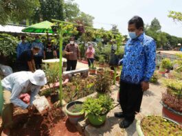 DKP Kota Tangerang Sebar Ratusan Ribu Bibit Tanaman Produktif