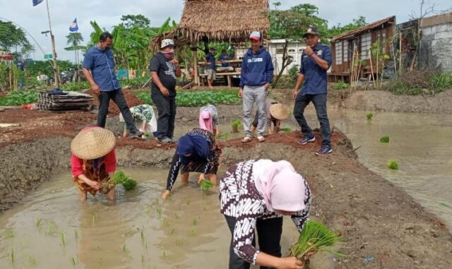 Keren, di Kecamatan Pinang Ada Lokasi Agrowisata Buat Selingkuh