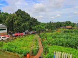 Kota Tangerang Punya Agrowisata Baru Loh ! Cek Lokasinya