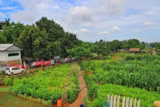 Kota Tangerang Punya Agrowisata Baru Loh ! Cek Lokasinya Kota Tangerang Punya Agrowisata Baru Loh ! Cek Lokasinya
