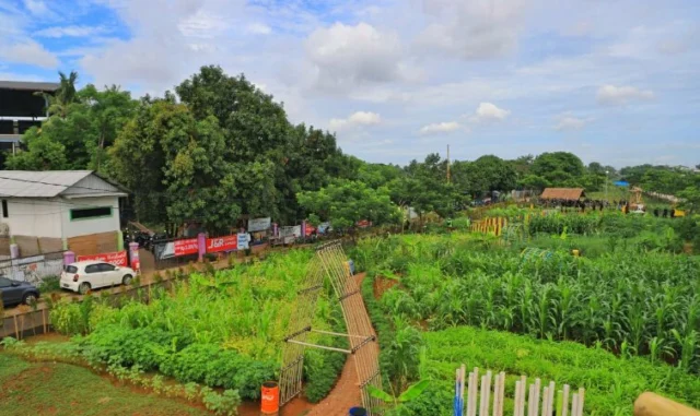 Kota Tangerang Punya Agrowisata Baru Loh ! Cek Lokasinya