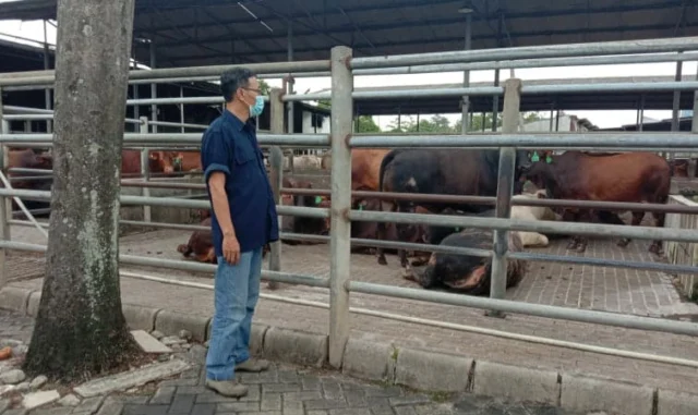 Dampak Mogok Pedagang Daging, RPH Karawaci Tetap Buka Namun Tidak Melakukan Pemotongan