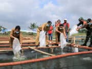 Kemandirian Pangan, Bibit Tanaman dan Benih Ikan Dibagi ke KWT se-Kota Tangerang