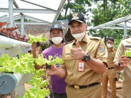 Bupati Tangerang: PT.BPU Bisa Menjadi Mitra Para Petani Desa Sodong