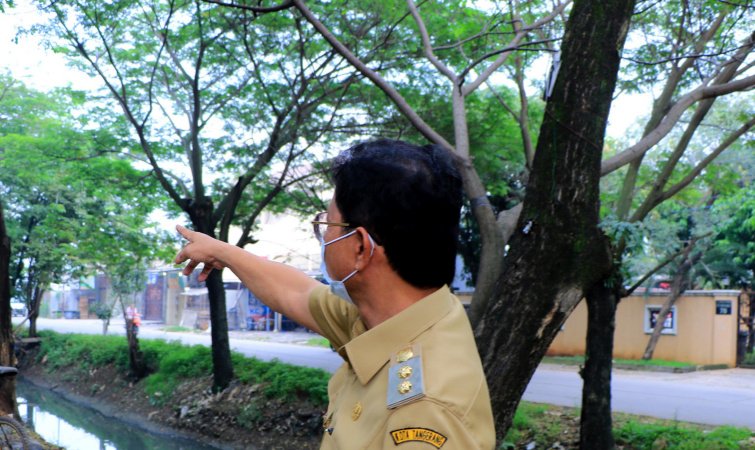 Antisipasi Musibah, Disbudparman Kota Tangerang Lakukan Pemangkasan Pohon