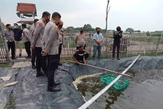 Kapolresta Tangerang Pastikan Proyek Ketahanan Pangan Kabaharkam Polri di Mauk Berkelanjutan Kapolresta Tangerang Pastikan Proyek Ketahanan Pangan Kabaharkam Polri di Mauk Berkelanjutan