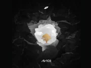 Lirik Lagu Without You Avicii ft. Sandro Cavazza dan Terjemahan