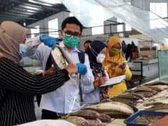 DKP Kota Tangerang Lakukan Pengawasan Keamanan dan Mutu Pangan Segar DKP Kota Tangerang Lakukan Pengawasan Keamanan dan Mutu Pangan Segar