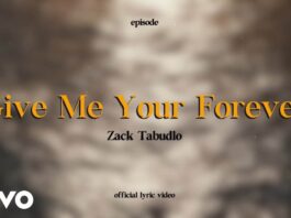 Lirik Lagu Give Me Your Forever - Zack Tabudlo
