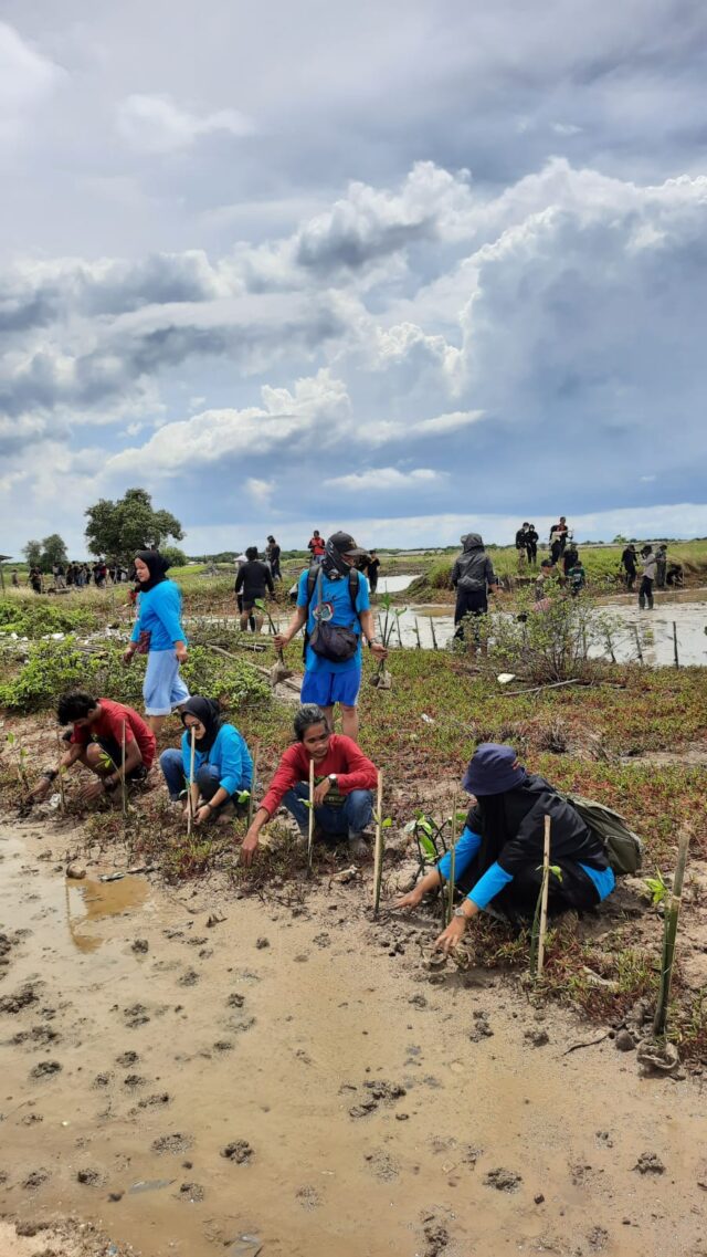 Komunitas Pecinta Alam Tangerang Tanam 1000 Pohon Mangrove di Kronjo