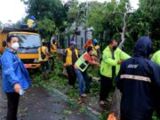 Korban Tertimpa Pohon Tumbang di Kota Tangerang Diberi Santunan, Berapa Nilainya?