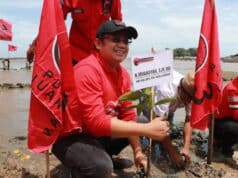 Rayakan HUT ke-75 Ibu Megawati, DPC PDIP Kabupaten Tangerang Tanam 7.500 Bibit Pohon Mangrove di Pulo Cangkir Ketua DPC PDI Perjuangan Kabupaten Tangerang H.Irvansyah saat menanam bibit pohon mangrove.