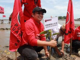 Ketua DPC PDI Perjuangan Kabupaten Tangerang H.Irvansyah saat menanam bibit pohon mangrove.