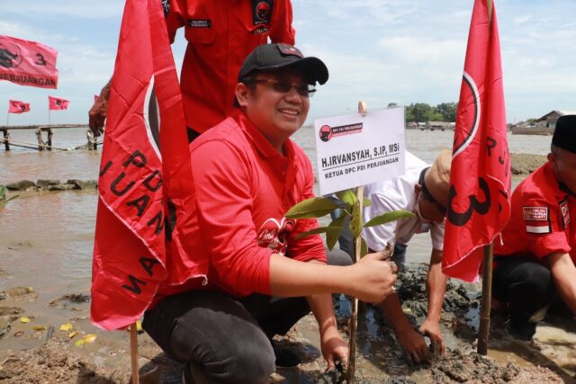 Ketua DPC PDI Perjuangan Kabupaten Tangerang H.Irvansyah saat menanam bibit pohon mangrove.