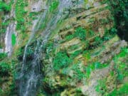 Curug Renyay berlokasi di Kampung Cikoneng, RT 01/ RW 06, Desa Warungbanten, Kecamatan Cibeber, Kabupaten Lebak, Banten.