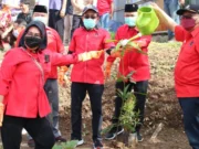 Tanam 5000 Pohon Serentak, PDI Perjuangan Ajak Rakyat Lestarikan Lingkungan